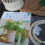 11号
